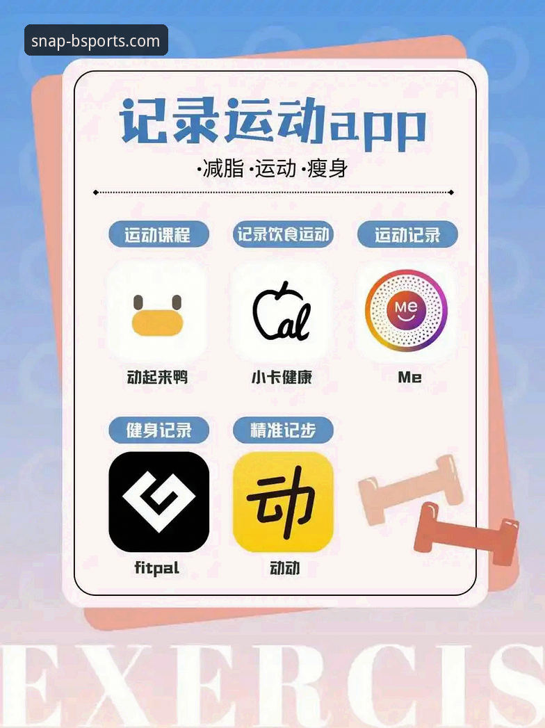 B体育官方APP手机版详解：从下载到使用的完整指南
